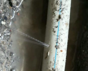 让胡路卫生间测漏水多少钱